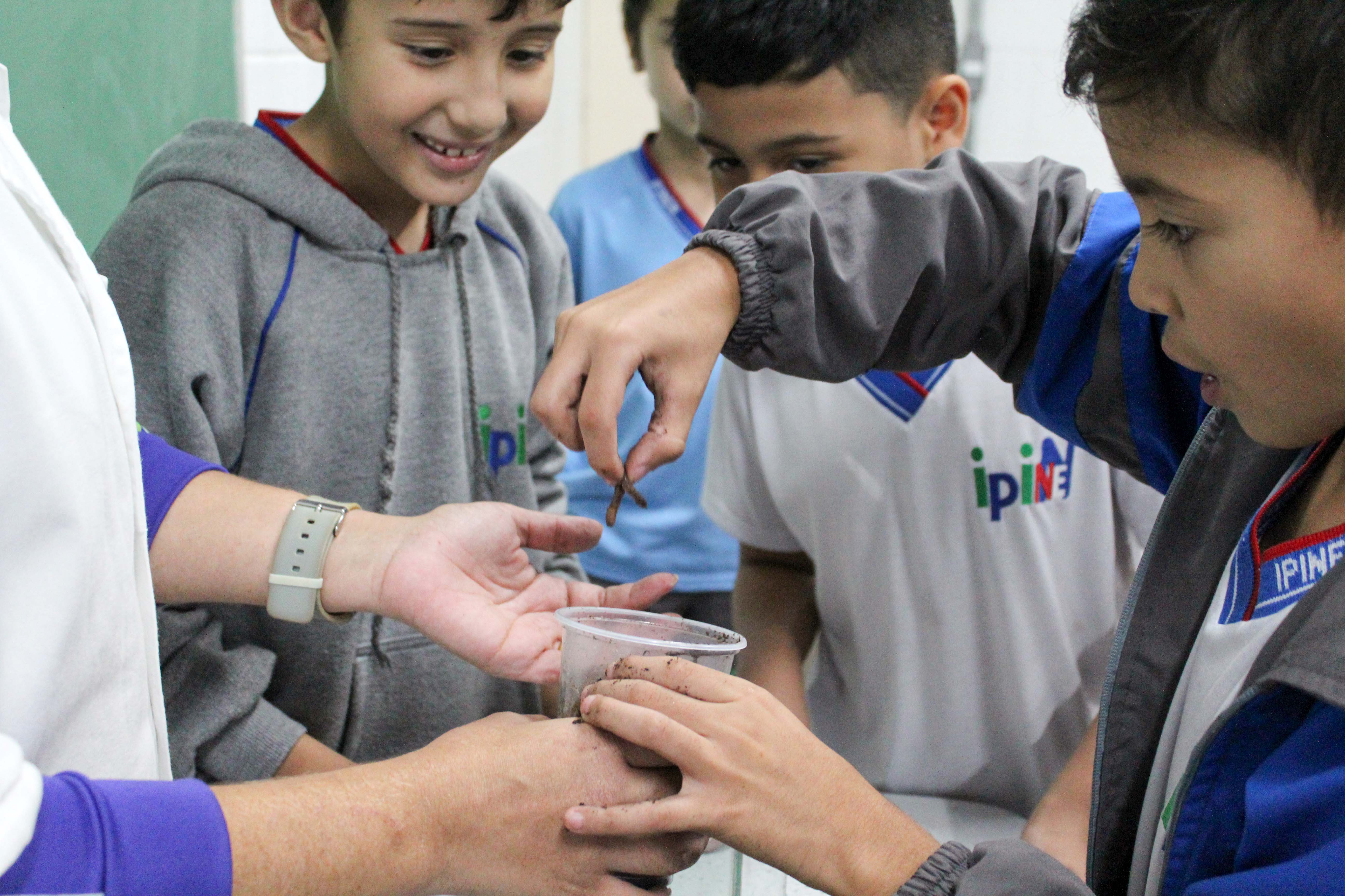 Ensino Fundamental I